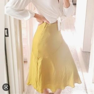 American Eagle midi skirt
